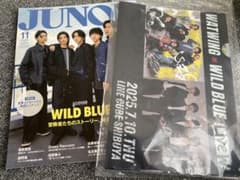 JUNON 11月号 WILD BLUE(クリアファイル付き)のサムネイル