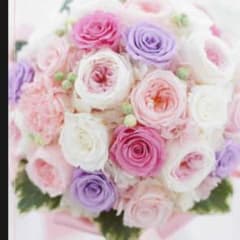 くまこさまのサムネイル
