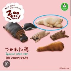 つかれた寝(ホッキョクグマ)のサムネイル
