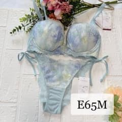 新品】wacoal パルファージュ 29 ブラ ソングセット E65M TU