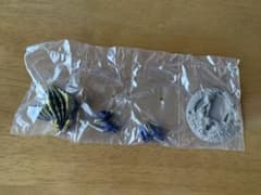 モンスターハンター　ガチャガチャ　マガイマガドのサムネイル