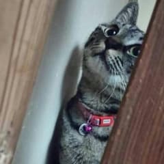 TAみほさま。専用のサムネイル