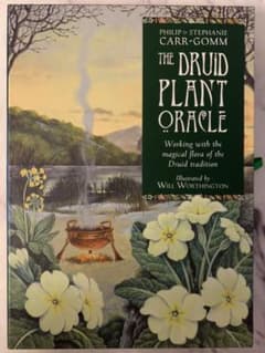 占い　オラクルカード　The Druid Plant Oracleのサムネイル