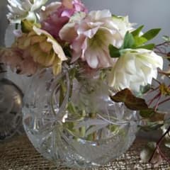 HOYAクリスタル Ｈ＆Bのサムネイル