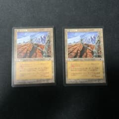 不毛の大地 日本語 2枚セット MTG 初版 TMP - メルカリ