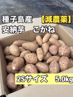 種子島産安納芋こがね【減農薬】 2Sサイズ　5kgのサムネイル