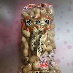 千葉半立　落花生のサムネイル