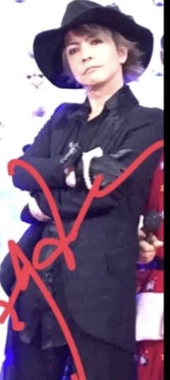 hyde着希少if ジャガード織 JK-FEATHERS-2 ラルク - メルカリ