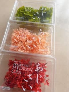 「大地農園 EARTH MATTERS 紫陽花 3色セット 花材」のサムネイル