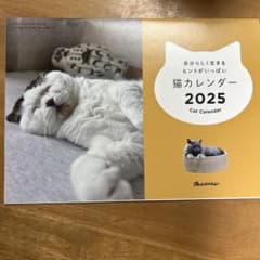2025年　猫カレンダー　（壁掛けタイプ）オレンジページ付録のサムネイル