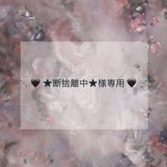 プレインシートのサムネイル