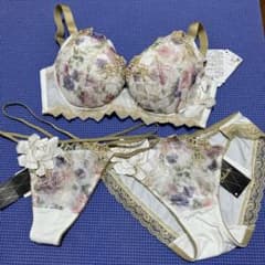ワコール サルート 17グループ 17G いばら姫 D70 ソングM ショーツM