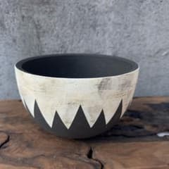 手作植木鉢 グラデーション植木鉢（ 塊根植物 グラキリス パキプス