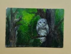 見つめるフクロウのサムネイル