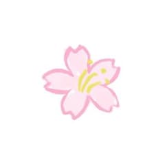 SUKALA】プリントヨギラグ ディズニー web限定 ヨガラグ新品 hre