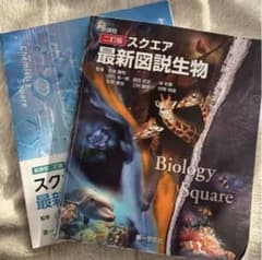 スクエア最新図説生物 化学 2冊セット 新課程 二訂版のサムネイル