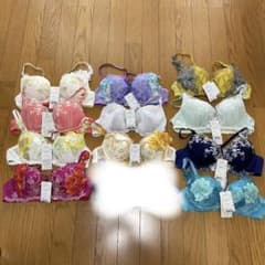ワコール　サルート　c75のサムネイル