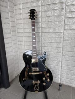 ブラジルHofma HG-285c セミアコ ボサノバ/ジャズ ブラジルHofma HG-285c セミアコ ボサノバ/ジャズ - メルカリ