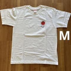 United Athle 6.2oz Tシャツ Mサイズ(大きめ)