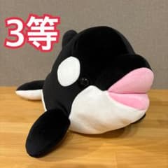 m51170307699_1.jpg?1751069381