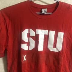 stussy ストューシー USA ビッグT 古着 オーバーサイズのサムネイル