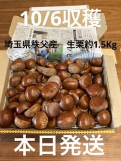秩父産　生栗1.5Kgのサムネイル