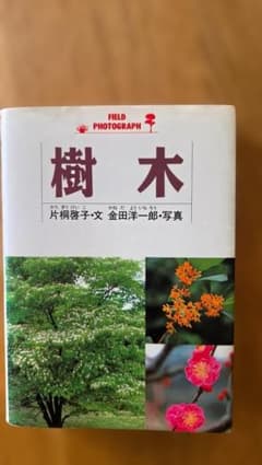 FIELD PHOTOGRAPH 樹木 片桐啓子 金田洋一郎のサムネイル