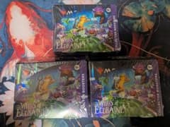 MTG エルドレインの森 コレクターブースター3ボックス 英語版 - メルカリ