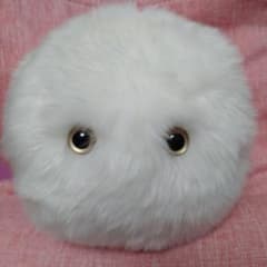 【ネモフ(白)】nemoph 睡眠    寝かしつけ 数量限定のサムネイル