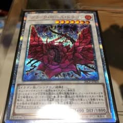 遊戯王 ブラックローズドラゴンのサムネイル