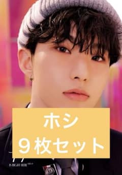 SEVENTEEN ホシ　９枚セット