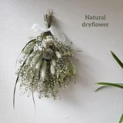 Natural＊涼しげな夏のグリーンスワッグ♡ドライフラワースワッグ