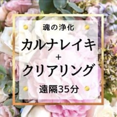 レイキの先生/魂/カルマ/トラウマ/大浄化スペシャルヒーリング - メルカリ