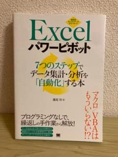 Excelパワーピボット 7つのステップでデータ集計・分析を「自動化」する本のサムネイル