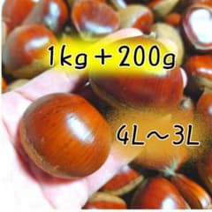 1【熊本県産】生栗 3L〜4L 1kg＋200gのサムネイル