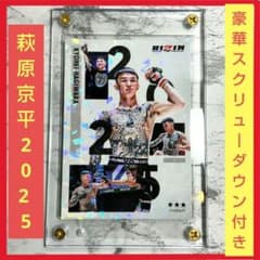 【最新】RIZIN萩原京平ライコレリアルカード3枚セット GW限定特価】 萩原京平 ライコレ RIZINカードコレクション リアル