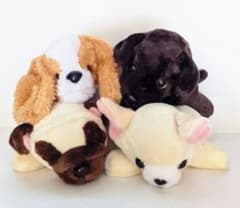 わんわんパーク ぬいぐるみ - メルカリ