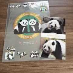 上野動物園 パンダ シャオシャオ レイレイ クリアファイル タンブラー マステ 上野動物園 ジャイアントパンダ シャオシャオ レイレイ クリアファイル