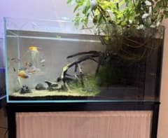 ツクヨミライト付き！ガラス水槽セットのサムネイル