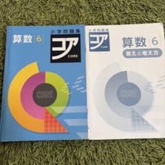 小学問題集 コア 算数6 解答付きのサムネイル