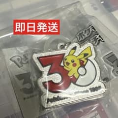 ポケモン30周年 メタルチャームマスコット ピカチュウ めじるしアクセサリーのサムネイル