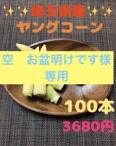 空　お盆明けです様専用になります。１００本➕おまけ最低5本！ヤングコーンのサムネイル