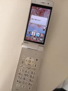 ホワイト 折りたたみ式携帯電話 docomo P-01F ドコモのサムネイル
