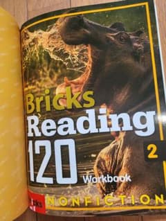 未使用 Bricks Reading 120 Nonfiction 2 & 3のサムネイル