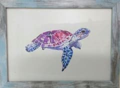 海ガメ(小亀)の絵のサムネイル