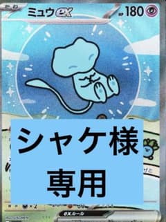 シャケ様専用のサムネイル