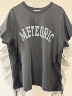 CADUNE】サイドチュールロゴT-shirt パール サイズ38 グレー - メルカリ