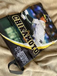 阪神タイガース　近本選手　座布団のサムネイル