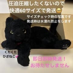 くたくた ひざねこ ぬいぐるみ 黒猫のサムネイル