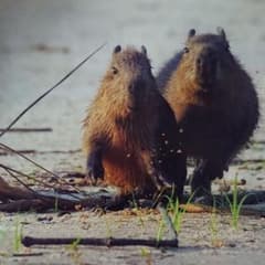 専用 送料のサムネイル